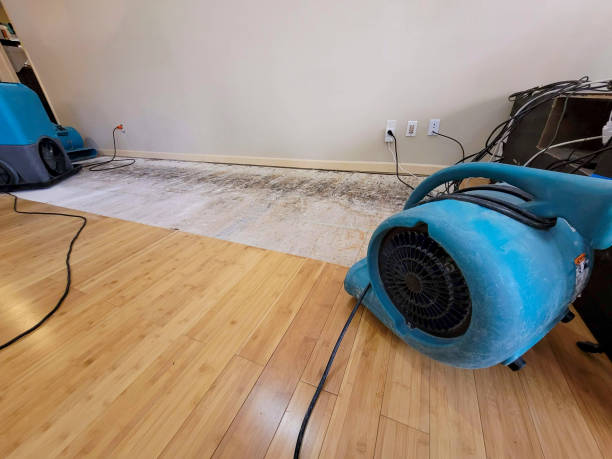 Professional Water Extraction technician working in Oberlin, KS